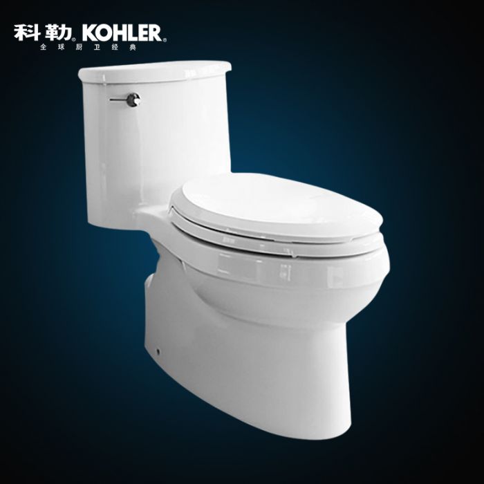科勒（K-5171T-CM-0_BJ）艾黛兒“4.2升五級(jí)旋風(fēng)綠能”連體座便器305MM坑距（含4713法弧型緩降座便器蓋板）